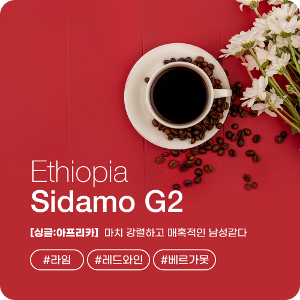 에티오피아 시다모 G2 워시드 아이다 원두 커피