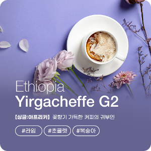 에티오피아 예가체프 G2 워시드 프리미엄 원두 커피